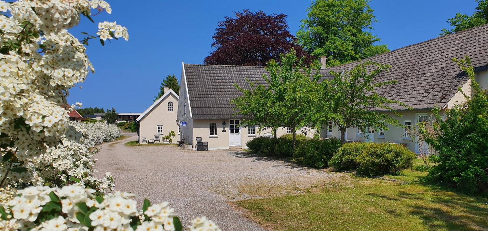 Store Ejlstrup Bed & Breakfast 欧登塞 外观 照片